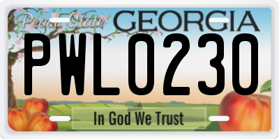 GA license plate PWL0230