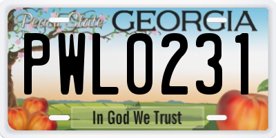 GA license plate PWL0231