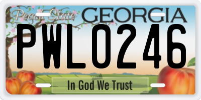 GA license plate PWL0246