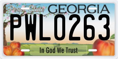 GA license plate PWL0263