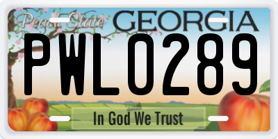 GA license plate PWL0289