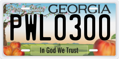 GA license plate PWL0300