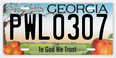 GA license plate PWL0307