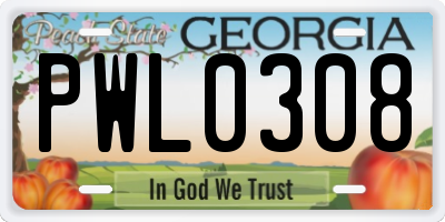 GA license plate PWL0308