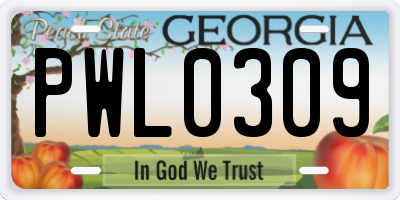 GA license plate PWL0309
