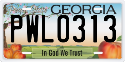 GA license plate PWL0313