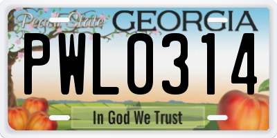 GA license plate PWL0314