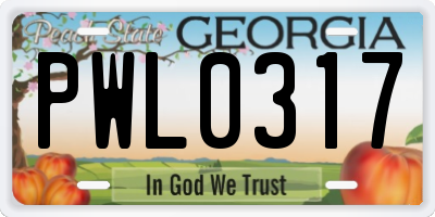 GA license plate PWL0317