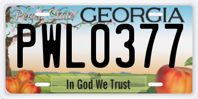 GA license plate PWL0377