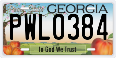 GA license plate PWL0384
