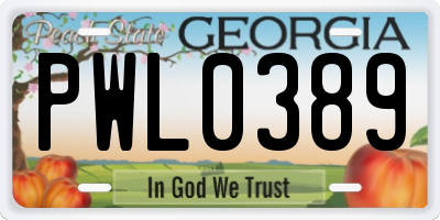 GA license plate PWL0389
