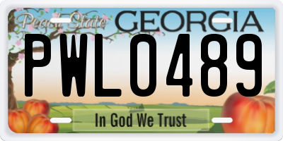 GA license plate PWL0489