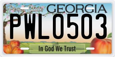 GA license plate PWL0503