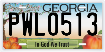 GA license plate PWL0513