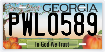 GA license plate PWL0589