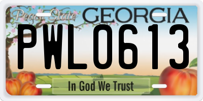 GA license plate PWL0613