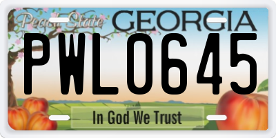 GA license plate PWL0645