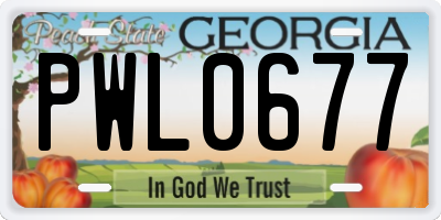 GA license plate PWL0677