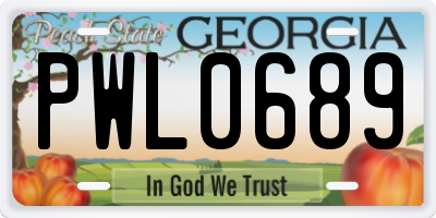 GA license plate PWL0689
