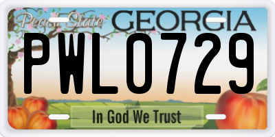 GA license plate PWL0729