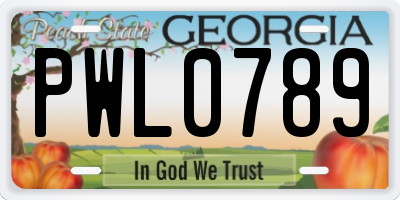 GA license plate PWL0789