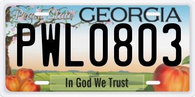 GA license plate PWL0803