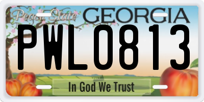 GA license plate PWL0813