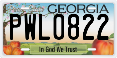 GA license plate PWL0822