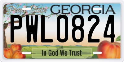 GA license plate PWL0824