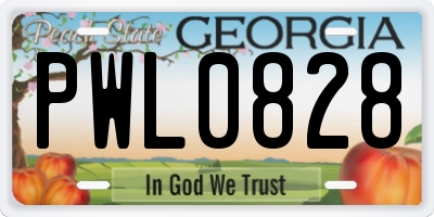 GA license plate PWL0828