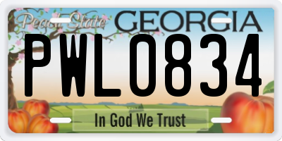 GA license plate PWL0834
