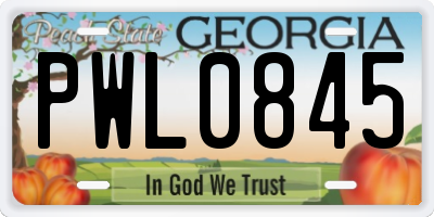 GA license plate PWL0845