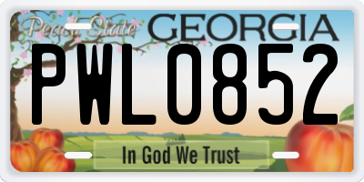 GA license plate PWL0852