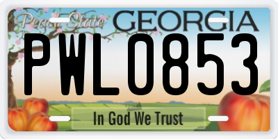 GA license plate PWL0853
