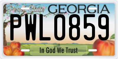 GA license plate PWL0859