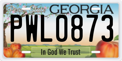 GA license plate PWL0873