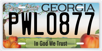 GA license plate PWL0877