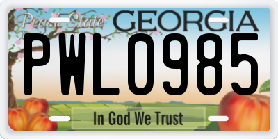 GA license plate PWL0985