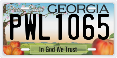 GA license plate PWL1065