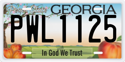 GA license plate PWL1125