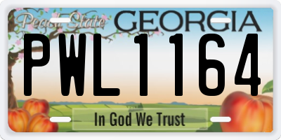 GA license plate PWL1164