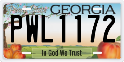 GA license plate PWL1172