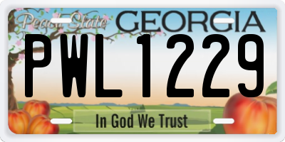 GA license plate PWL1229
