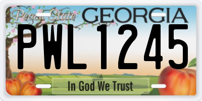 GA license plate PWL1245