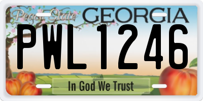 GA license plate PWL1246