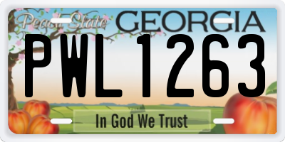 GA license plate PWL1263