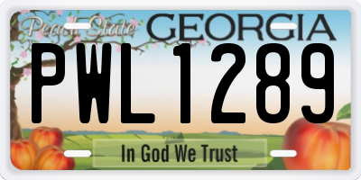 GA license plate PWL1289