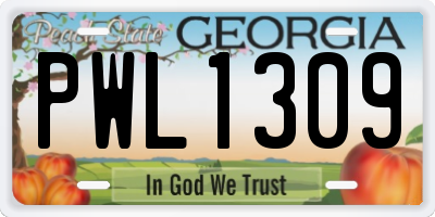 GA license plate PWL1309