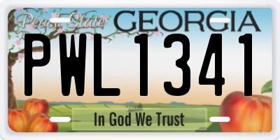 GA license plate PWL1341