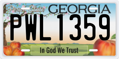GA license plate PWL1359